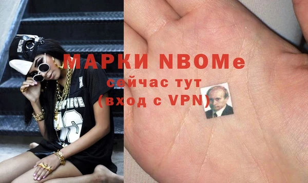 СК Алексин
